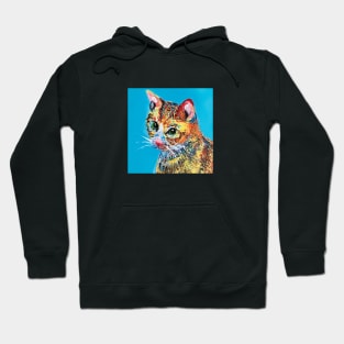 Lovely kitty Hoodie